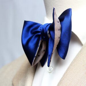 Men's Self-tied Large Bow Tie 100%Silk‎ Bowtie NWT S710